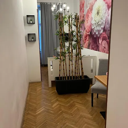 Apartment Millionrosesvintage Vaci Street
