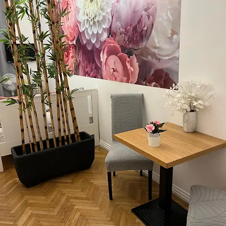 Apartman Millionrosesvintage Vaci Street Budapest