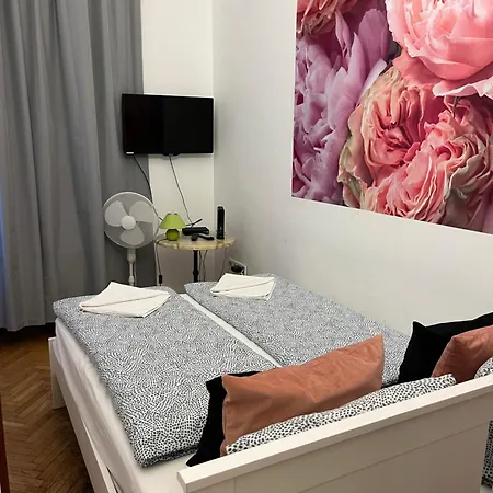 Millionrosesvintage Vaci Street Free Airconditioner And Coffee * Budapeszt