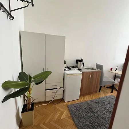 Millionrosesvintage Vaci Street Free Airconditioner And Coffee Apartament